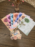 Beautiful rose lined stationery
